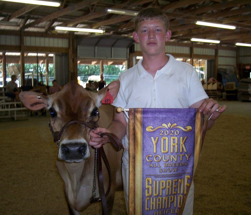 B-york-allbreeddairy-3.jpg